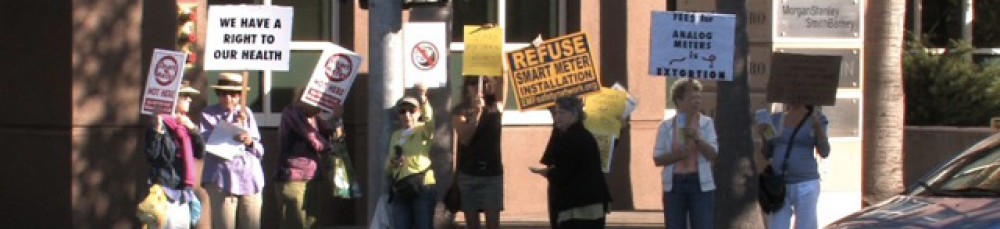 Day of Action to Stop Smart Meters!