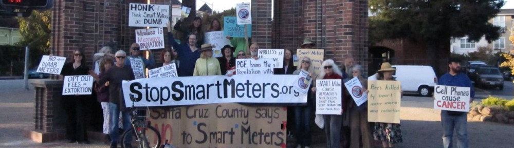 Day of Action to Stop Smart Meters!